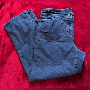 Eileen Fisher Straight Leg Jeans L